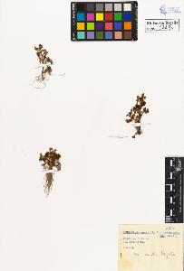 SW_BNB_s3020-00452_IMG-0000000001