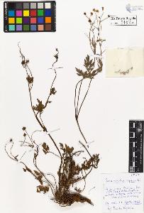 SW_BNB_s3020-00455_IMG-0000000001