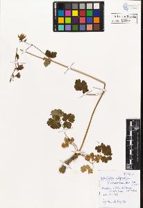SW_BNB_s3020-00475_IMG-0000000001