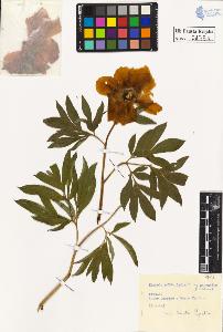 SW_BNB_s3020-00478_IMG-0000000001