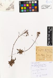 SW_BNB_s3020-00483_IMG-0000000001