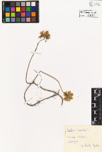 SW_BNB_s3020-00491_IMG-0000000001