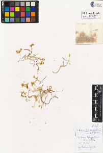 SW_BNB_s3020-00492_IMG-0000000001