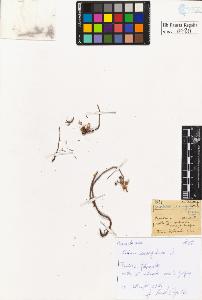 SW_BNB_s3020-00493_IMG-0000000001