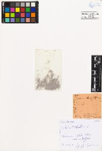 SW_BNB_s3020-00497_IMG-0000000001