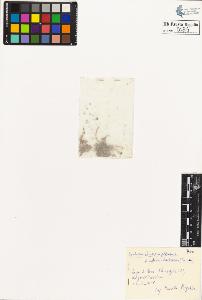 SW_BNB_s3020-00498_IMG-0000000001