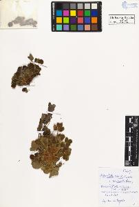 SW_BNB_s3020-00505_IMG-0000000001