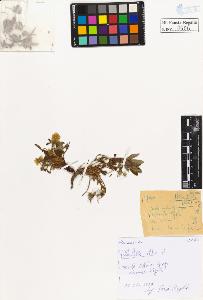 SW_BNB_s3020-00509_IMG-0000000001