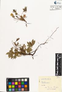 SW_BNB_s3020-00510_IMG-0000000001
