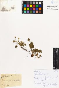 SW_BNB_s3020-00516_IMG-0000000001
