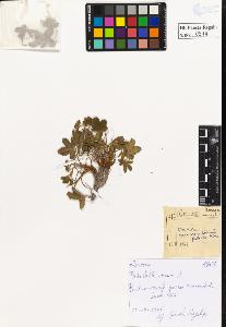 SW_BNB_s3020-00517_IMG-0000000001
