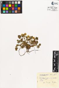 SW_BNB_s3020-00519_IMG-0000000001