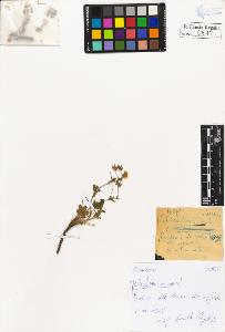 SW_BNB_s3020-00520_IMG-0000000001