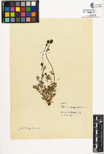 SW_BNB_s3020-00527_IMG-0000000001