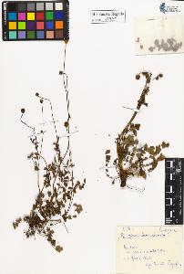 SW_BNB_s3020-00528_IMG-0000000001
