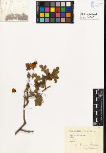SW_BNB_s3020-00531_IMG-0000000001