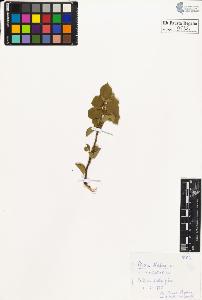 SW_BNB_s3020-00535_IMG-0000000001