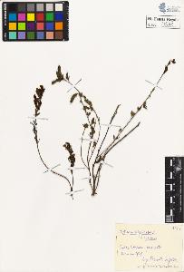 SW_BNB_s3020-00544_IMG-0000000001