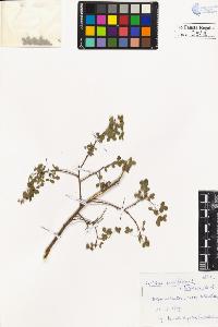 SW_BNB_s3020-00547_IMG-0000000001