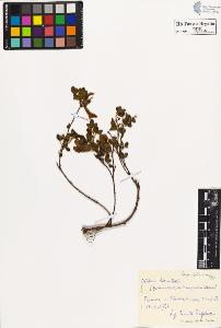 SW_BNB_s3020-00549_IMG-0000000001