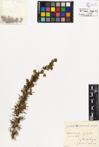 SW_BNB_s3020-00556_IMG-0000000001