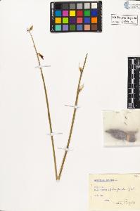 SW_BNB_s3020-00558_IMG-0000000001