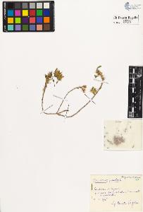 SW_BNB_s3020-00561_IMG-0000000001