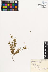 SW_BNB_s3020-00563_IMG-0000000001