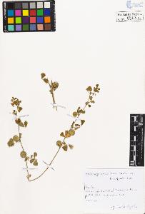 SW_BNB_s3020-00566_IMG-0000000001