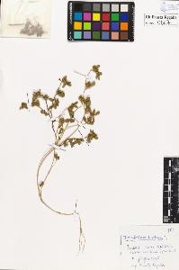 SW_BNB_s3020-00570_IMG-0000000001