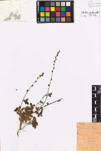 SW_BNB_s3020-00574_IMG-0000000001