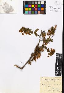SW_BNB_s3020-00578_IMG-0000000001