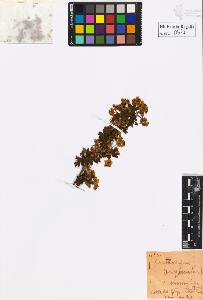 SW_BNB_s3020-00580_IMG-0000000001