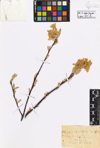 SW_BNB_s3020-00581_IMG-0000000001