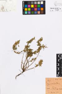 SW_BNB_s3020-00594_IMG-0000000001