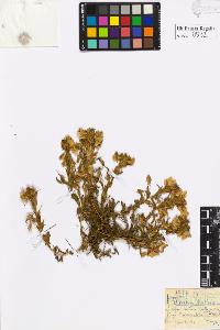 SW_BNB_s3020-00595_IMG-0000000001