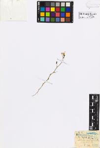 SW_BNB_s3020-00596_IMG-0000000001