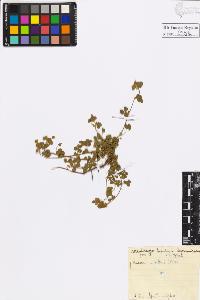 SW_BNB_s3020-00597_IMG-0000000001