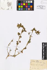 SW_BNB_s3020-00600_IMG-0000000001