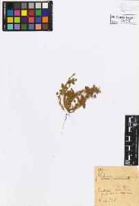 SW_BNB_s3020-00601_IMG-0000000001