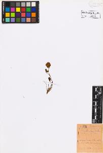 SW_BNB_s3020-00605_IMG-0000000001