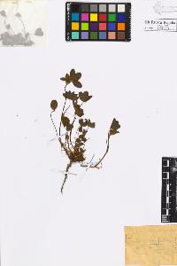 SW_BNB_s3020-00606_IMG-0000000001