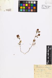 SW_BNB_s3020-00610_IMG-0000000001