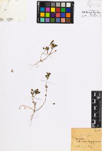 SW_BNB_s3020-00611_IMG-0000000001
