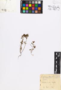 SW_BNB_s3020-00612_IMG-0000000001