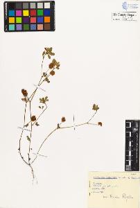 SW_BNB_s3020-00613_IMG-0000000001