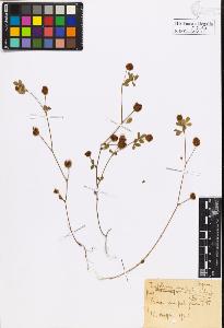 SW_BNB_s3020-00614_IMG-0000000001
