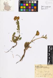 SW_BNB_s3020-00615_IMG-0000000001