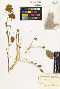 SW_BNB_s3020-00617_IMG-0000000001