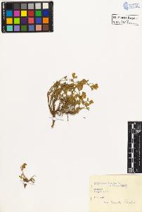 SW_BNB_s3020-00621_IMG-0000000001